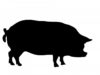 pig, animal, porker-220277.jpg